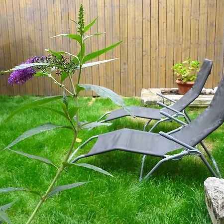 Le1600troyes - Le Verne & Jardin Apartment